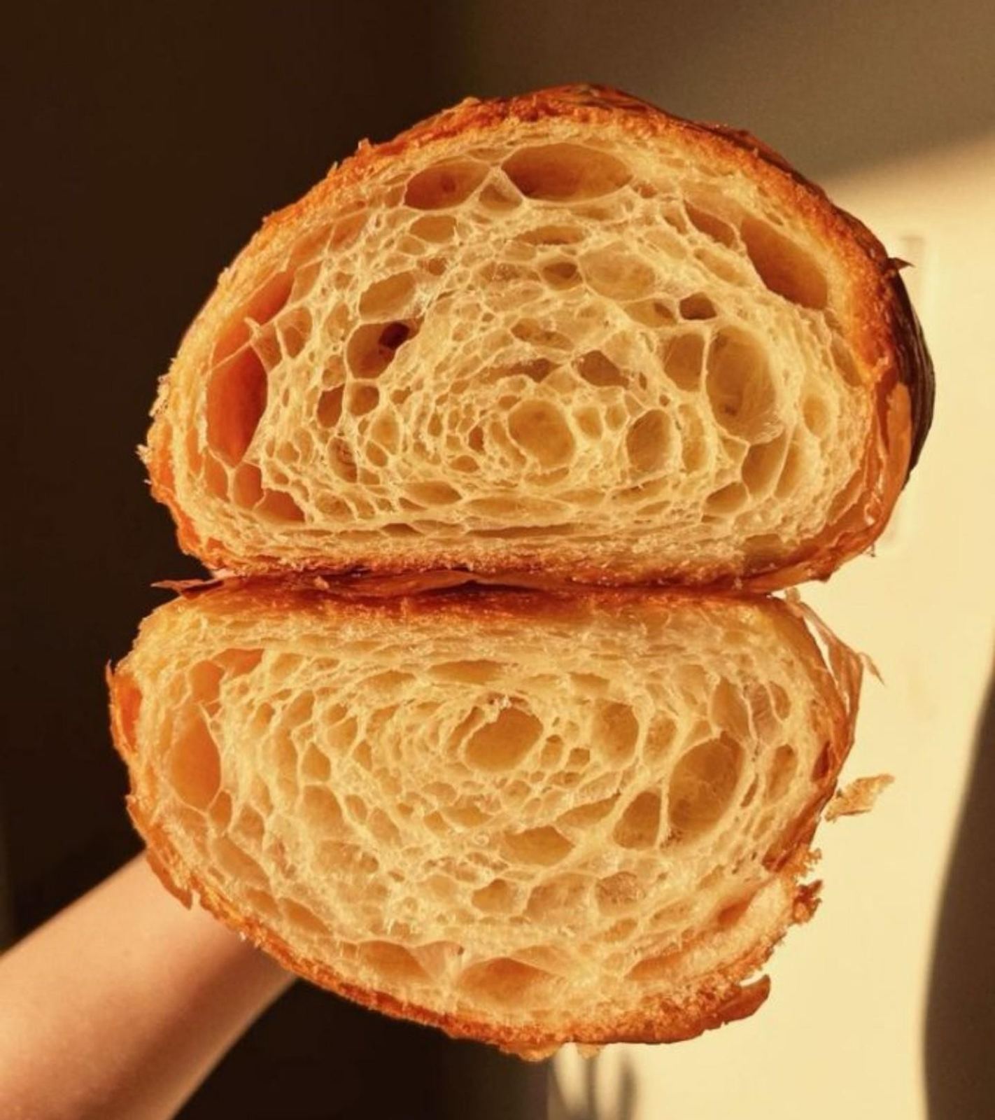 Laminado cortado por la mitad que muestra sus alveolos